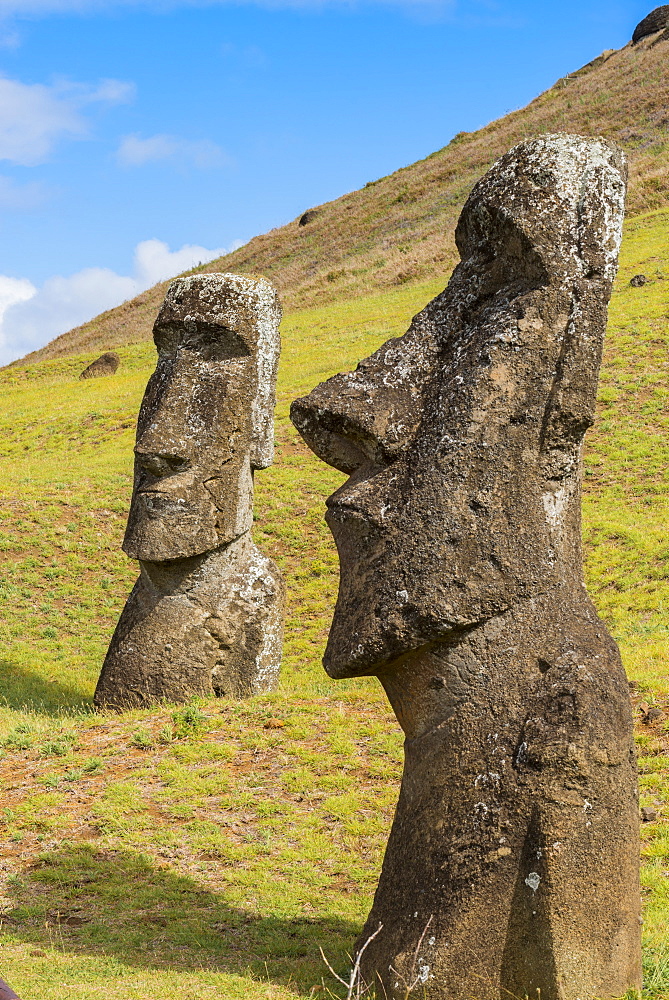 Moai heads of Easter Island, Rapa Nui National Park, UNESCO World Heritage Site, Easter Island, Chile, South America