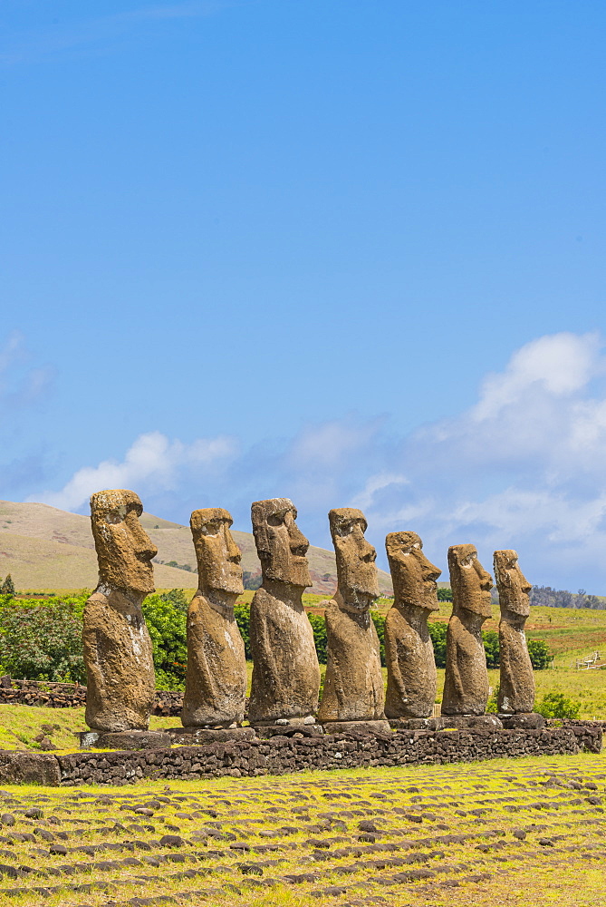 Moai heads of Easter Island, Rapa Nui National Park, UNESCO World Heritage Site, Easter Island, Chile, South America