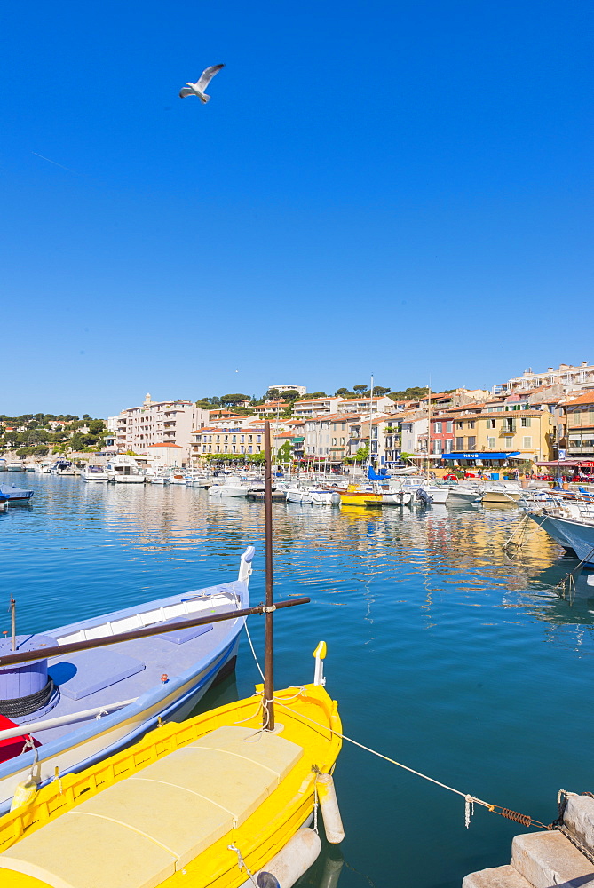 Boats in Cassis harbour, Bouches du Rhone, Provence, Provence-Alpes-Cote d'Azur, French Riviera, France, Mediterranean, Europe