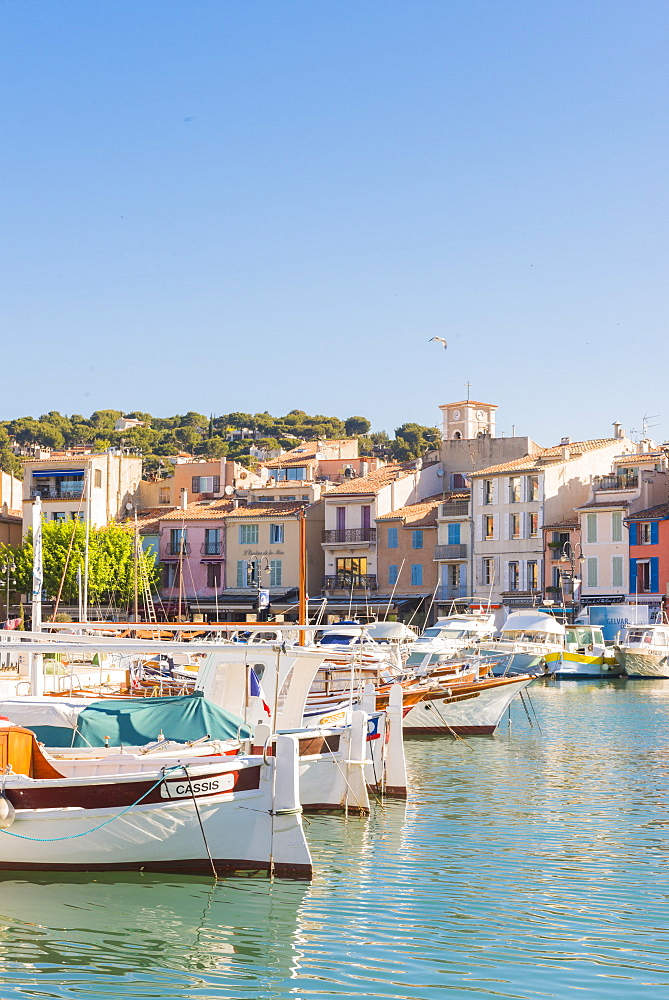 Boats in Cassis harbour, Bouches du Rhone, Provence, Provence-Alpes-Cote d'Azur, French Riviera, France, Mediterranean, Europe