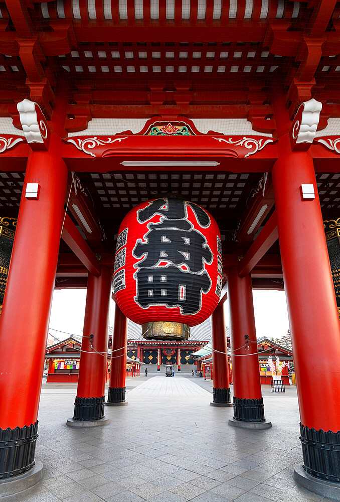 Sensoji Temple in Cherry blossom season, Tokyo, Japan, Asia