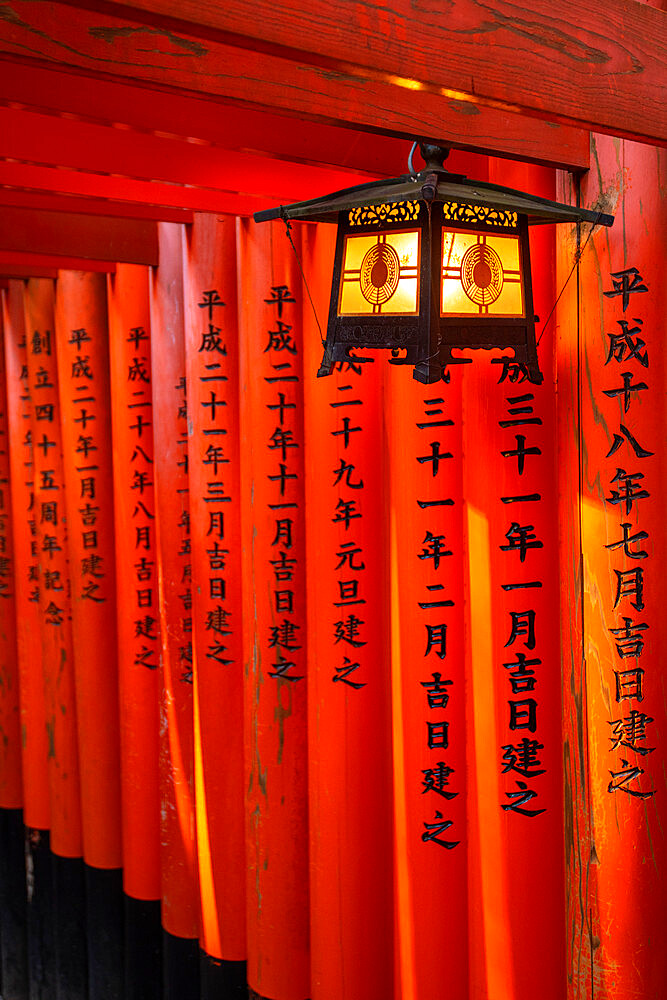 Fushimi Inari Taisha shrine and torii gates, Kyoto, Japan, Asia