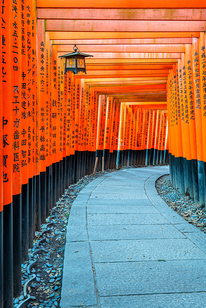 Fushimi Inari Taisha shrine and torii gates, Kyoto, Japan, Asia