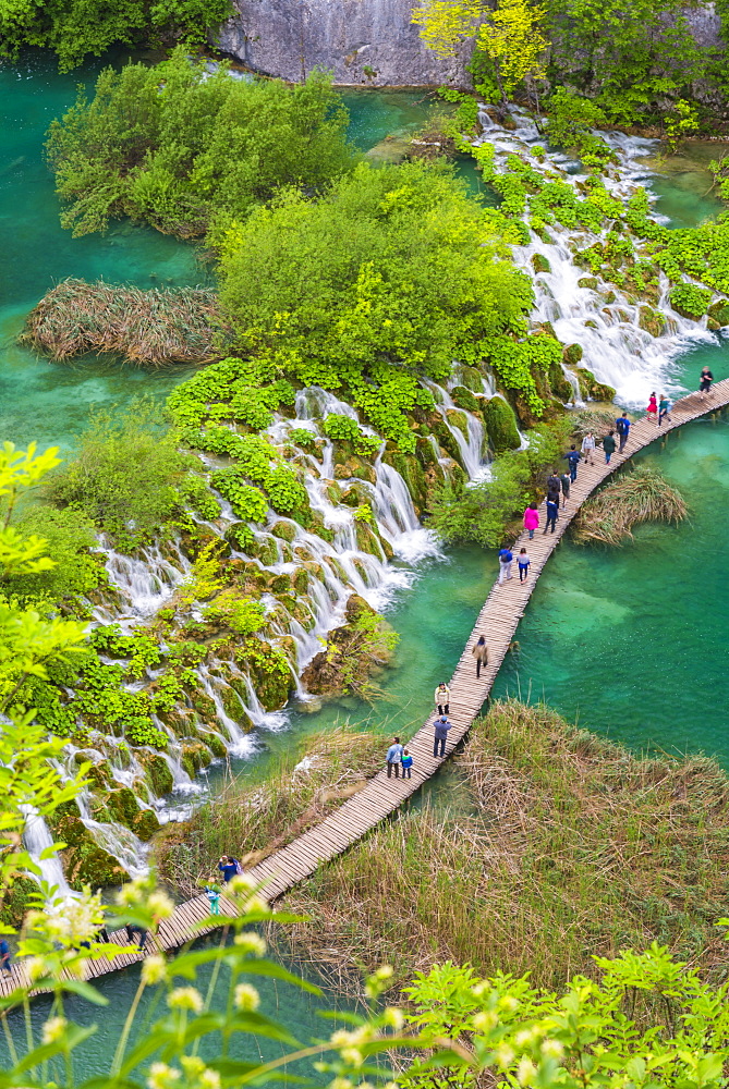 Aerial view of the boardwalk at Plitvice Lakes National Park, UNESCO World Heritage Site, Croatia, Europe