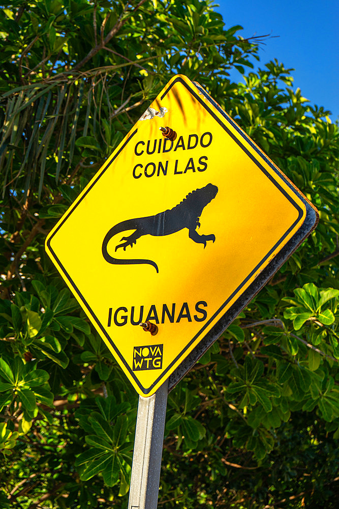 Mexican and foreign tourists in the Caribbean beaches of Cancun, Quintana Roo state,Mexico