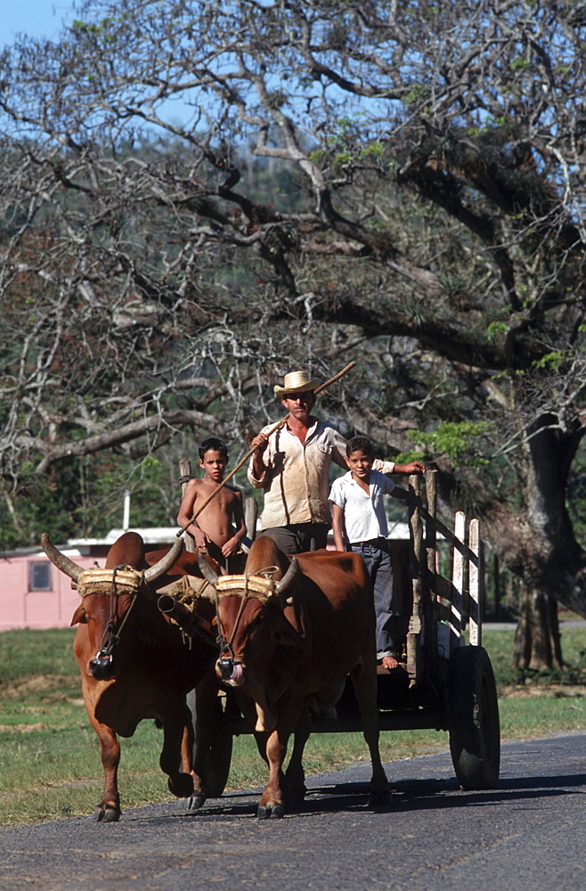 Cuba. Family in a cart, vinales. Pinar del rio province