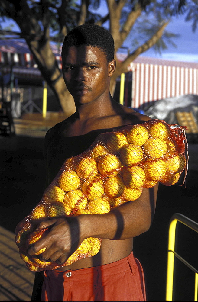 Packing oranges, south africa. Northern province. A young man stood with a bag of oranges