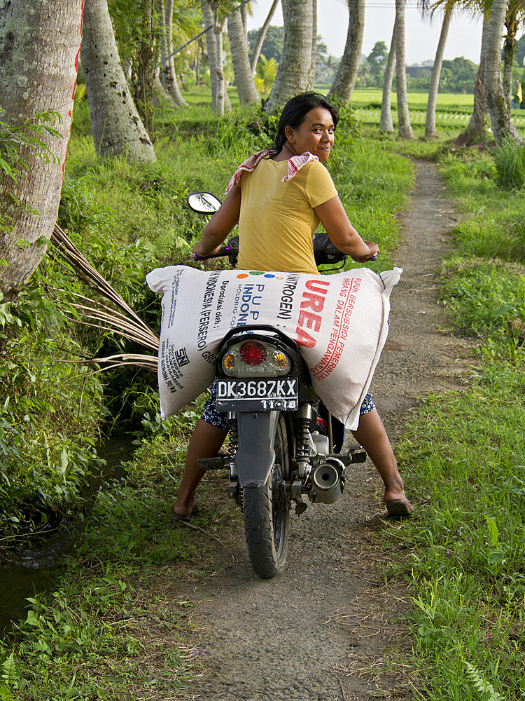 Woman carrying sack of rice on motorcycle in the highlands in Bali, Indonesia, Southeast Asia, Asia