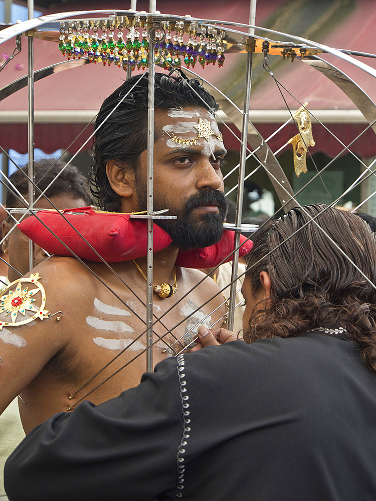 Devotee with body pierced with skewers, Thaipusam Hindu Tamil festival celebrated in Little India, Singapore, Southeast Asia, Asia