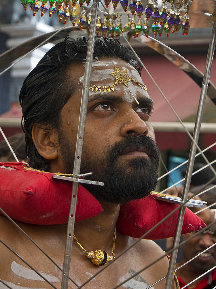 Devotee with body pierced with skewers, Thaipusam Hindu Tamil festival celebrated in Little India, Singapore, Southeast Asia, Asia