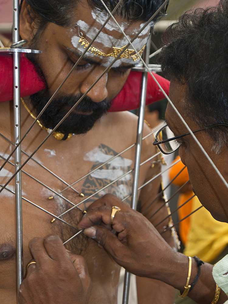 Devotee with body pierced with skewers, Thaipusam Hindu Tamil festival celebrated in Little India, Singapore, Southeast Asia, Asia