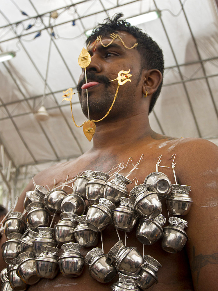 Devotee with body pierced with skewers, Thaipusam Hindu Tamil festival celebrated in Little India, Singapore, Southeast Asia, Asia