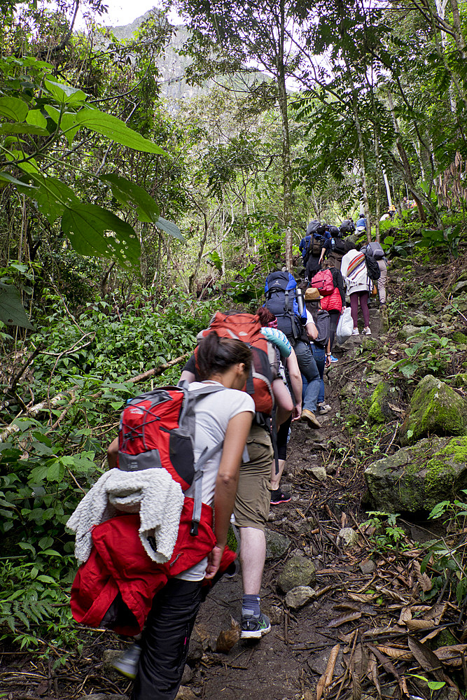 Travellers walking the Inca Trail path to the Inca ruins of Macchu Picchu, Peru, South America