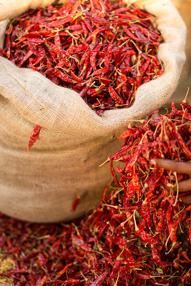 Dried chillies, Sri Lanka, Asia