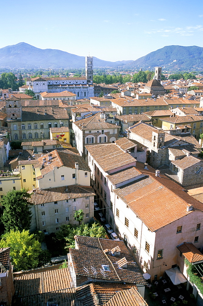 View south from Guinici Tower of city rooftops and cathedral, Lucca, Tuscany, Italy, Europe