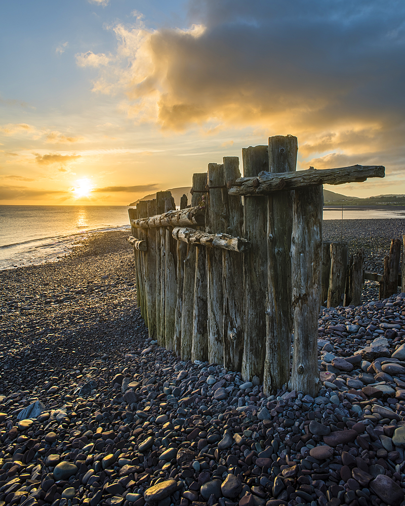 Remains of a wooden groyne at Porlock Weir, sunrise in spring, Somerset, England, United Kingdom, Europe