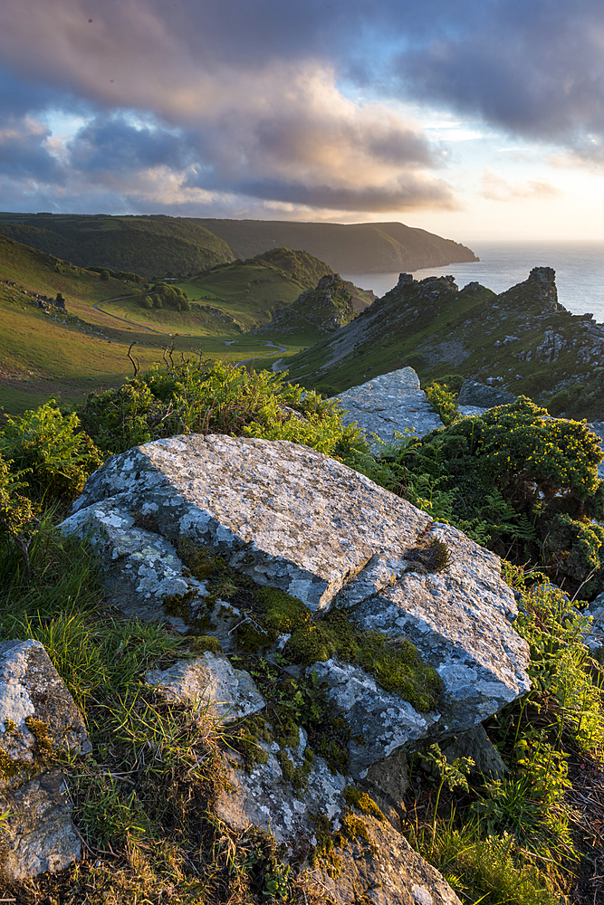 Valley of the Rocks in summer, Exmoor, Devon, England, United Kingdom, Europe