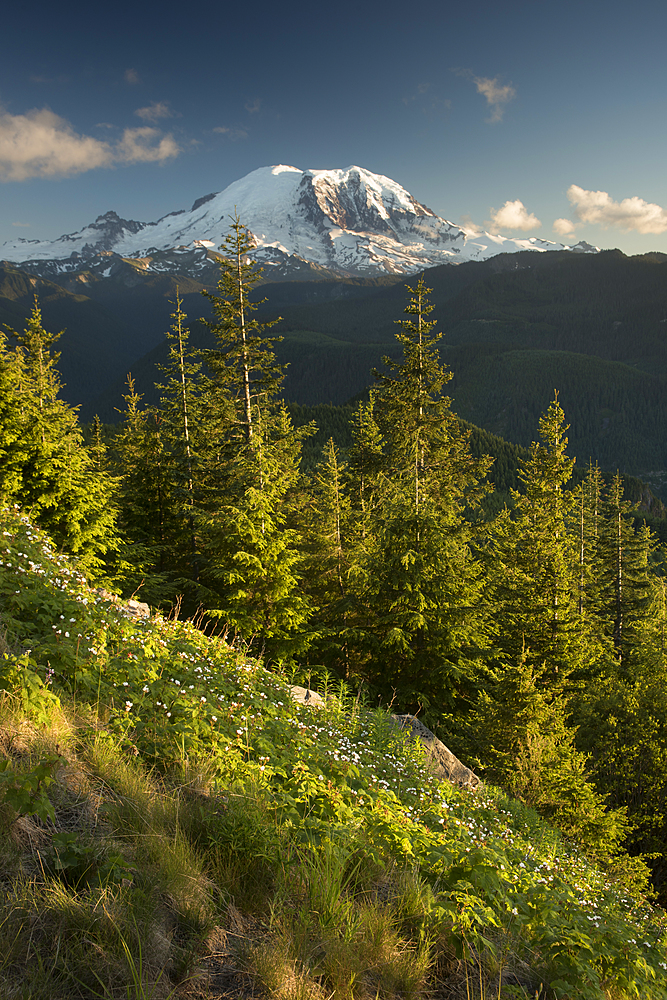 View of Mount Rainier, Washington State, United States of America, North America