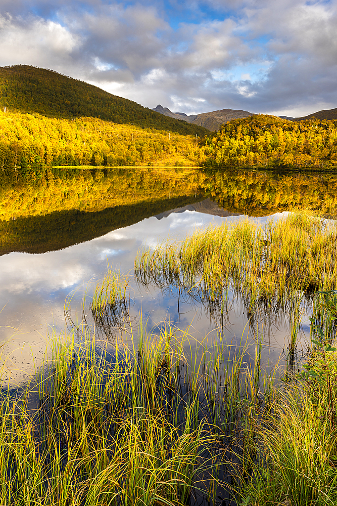 Lake reflection, autumn colour, Senja, Norway, Scandinavia, Europe