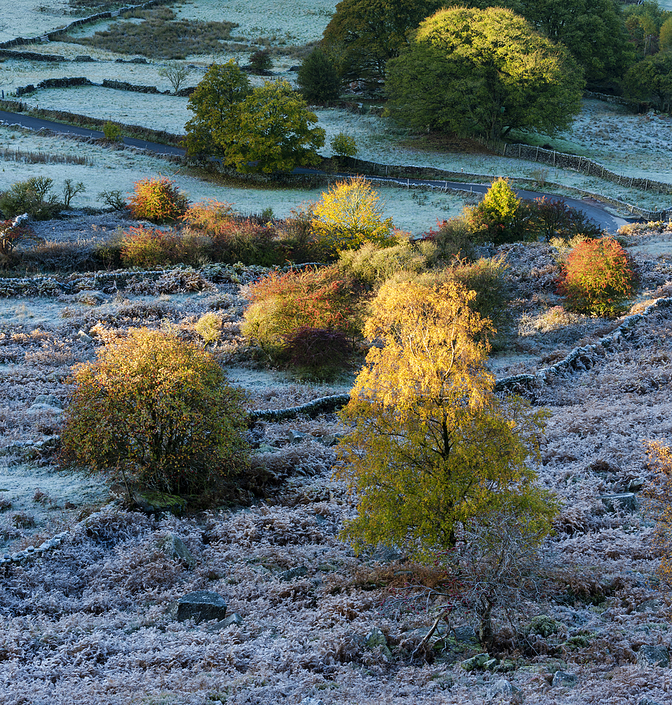 Frost covered trees and fields in autumn, Peak District National Park, Derbyshire, England, United Kingdom, Europe