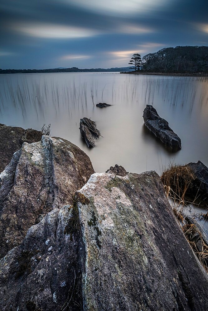 Muckross Lake at dawn, Killarney, County Kerry, Munster, Republic of Ireland, Europe