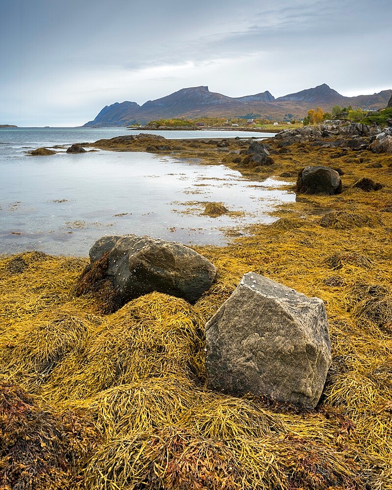 Coastline at low tide, west Senja, Norway, Scandinavia, Europe