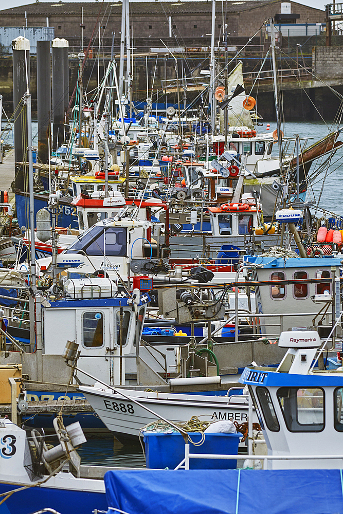 Fishing boats tied up in the harbour; in Newlyn harbour, near Penzance, Cornwall, Great Britain.