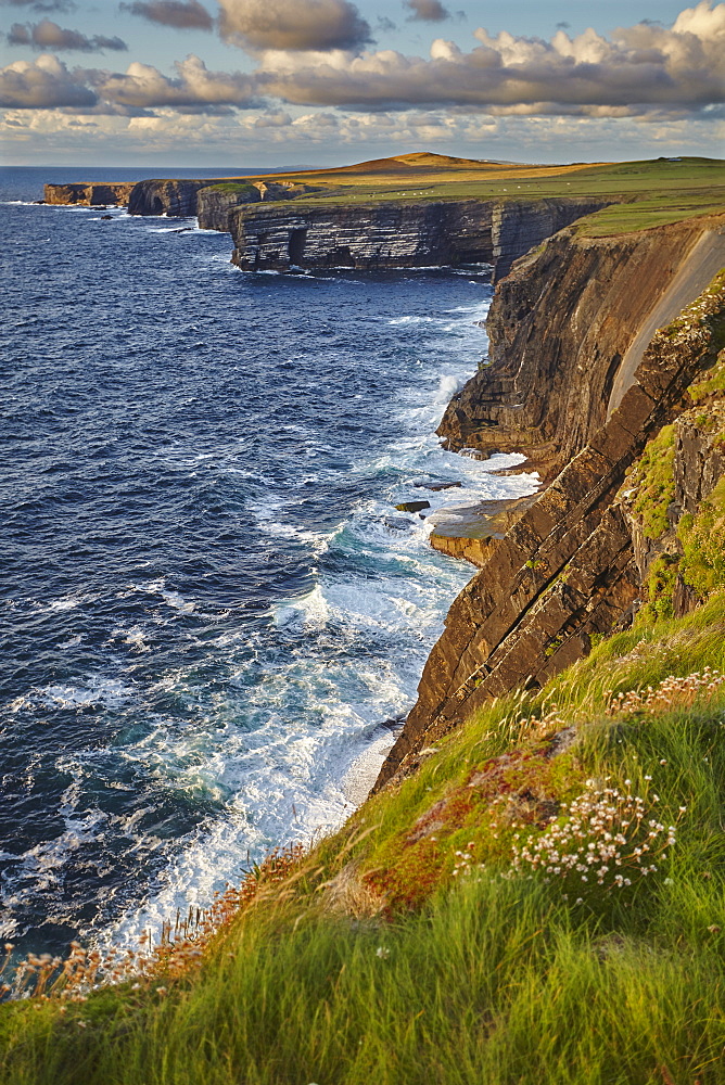 The cliffs at Loop Head, near Kilkee, County Clare, Munster, Republic of Ireland, Europe