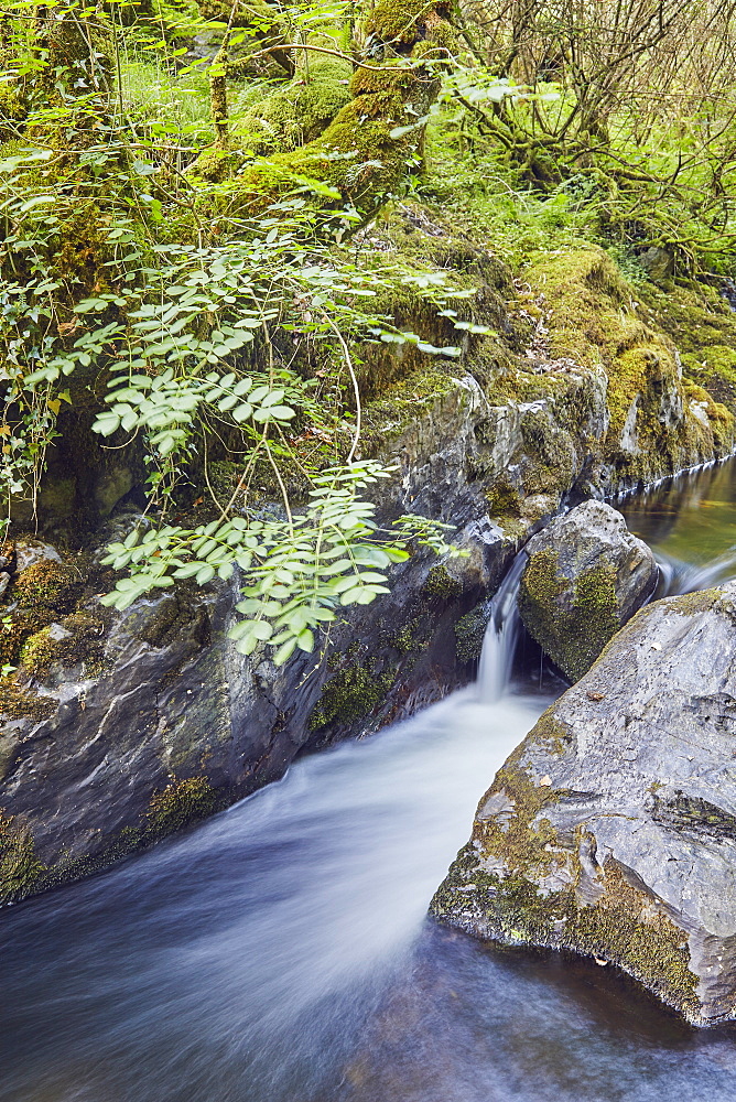 A woodland stream, the East Okement River, flowing off the northern slopes of Dartmoor National Park, near Okehampton, Devon, England, United Kingdom, Europe