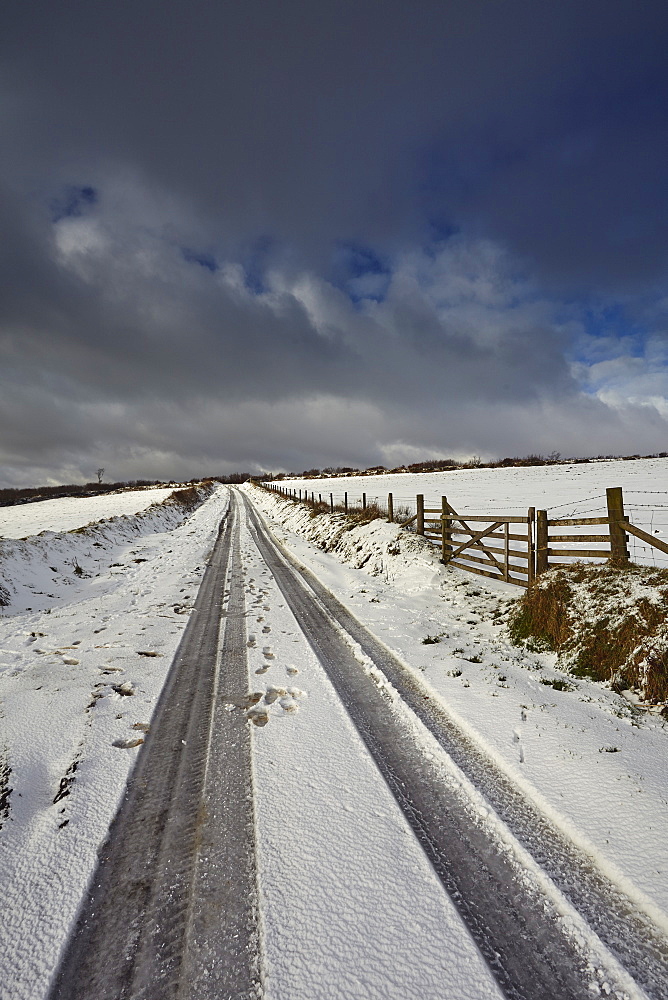 A snowy winter's day on Exmoor's hills, Kinsford Gate, near the village of Brayford, Exmoor National Park, Devon, England, United Kingdom, Europe