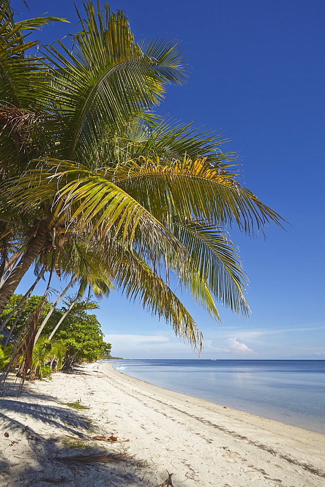 The beach at San Juan on the southwest coast of Siquijor, Philippines, Southeast Asia, Asia