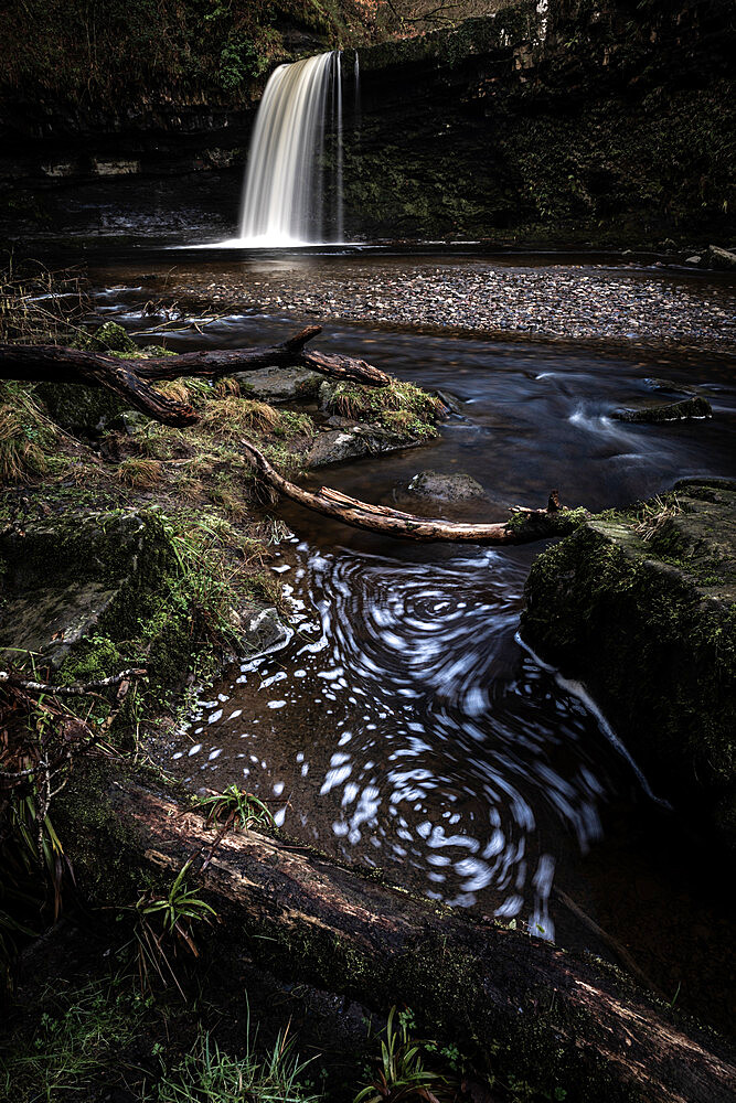 Sgwd Gwladus waterfall, Pontneddfechan, Brecon Beacons, Powys, Wales, United Kingdom, Europe