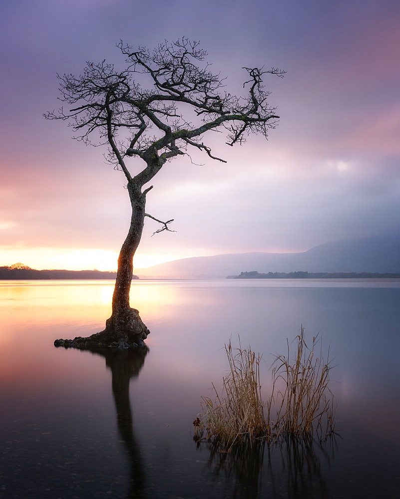 Loch Lomond at sunset, Scotland, United Kingdom, Europe