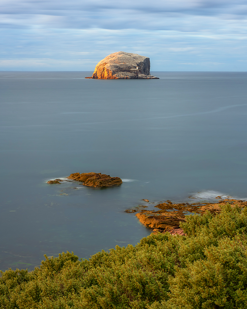 Bass Rock in early evening light, Firth of Forth, East Lothian, Scotland, United Kingdom, Europe