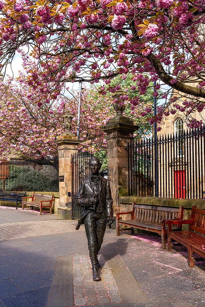 Statue of poet Robert Fergusson by David Annand outside Canongate Kirk, Cherry Blossom Season, Edinburgh, Scotland, United Kingdom, Europe