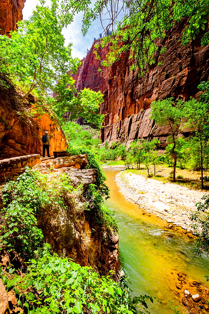 The Narrows Canyon Trail, Zion National Park, Utah, United States of America, North America