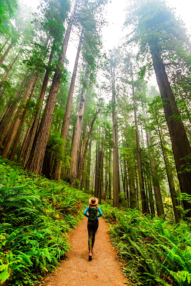 Woman exploring Mount Shasta Forest, California, United States of America, North America