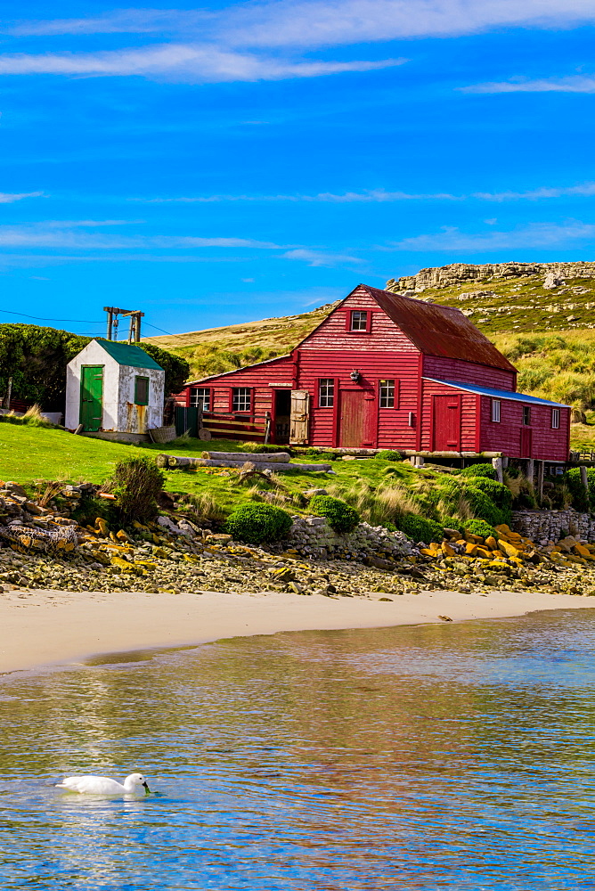 Scenic view of a house on West Point, a beautiful, quaint pristine place that only has two residents, Falkland Islands, South America