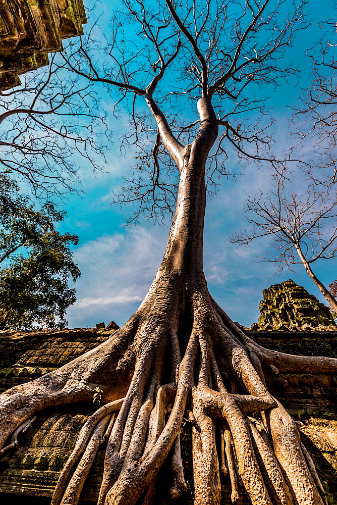 Angkor Wat temples, Angkor, UNESCO World Heritage Site, Siem Reap, Cambodia, Indochina, Southeast Asia, Asia