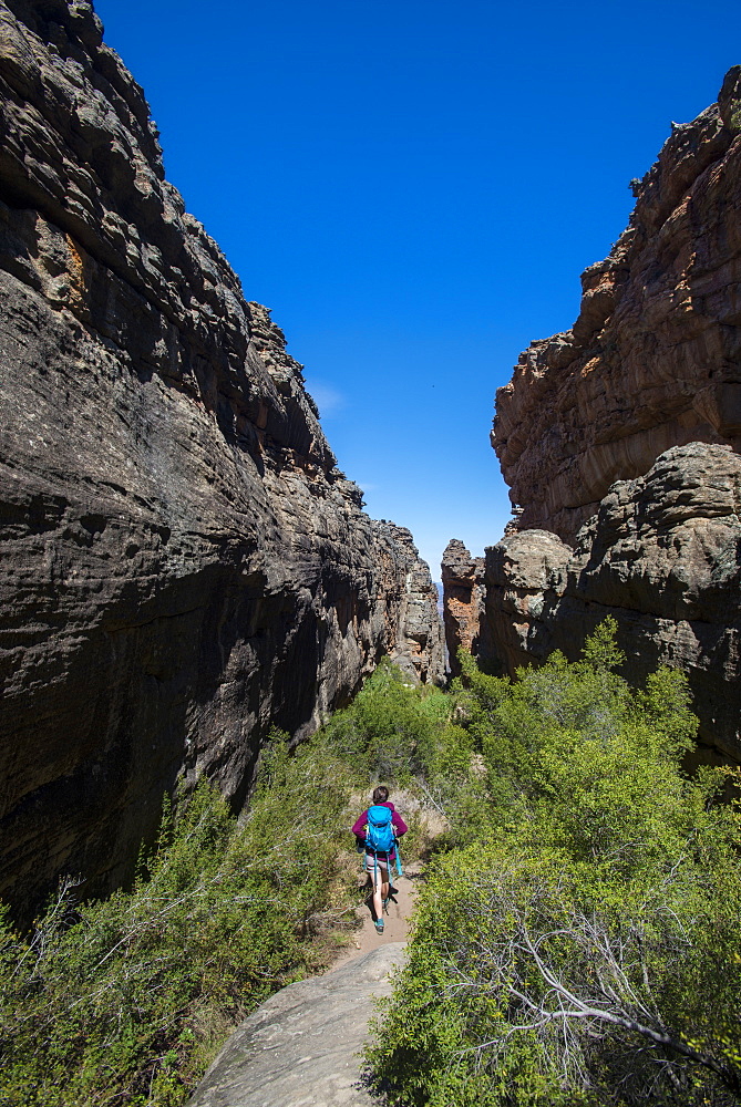 Trekking in the Cederberg mountains, Western Cape, South Africa, Africa