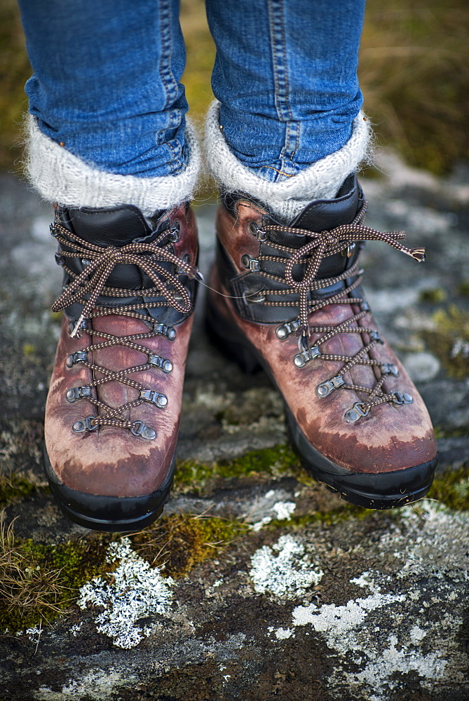 Walking near Newtonmore in the Cairngorms National Park, Highlands, Scotland, United Kingdom, Europe