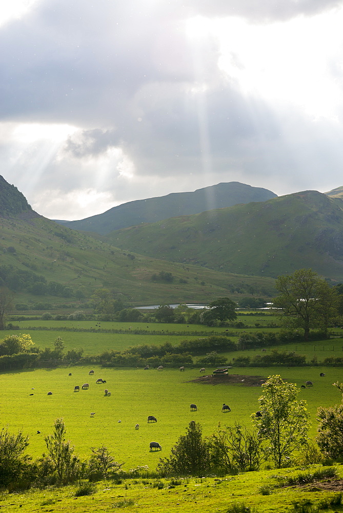 Buttermere in the Lake District National Park, Cumbria, England, United Kingdom, Europe