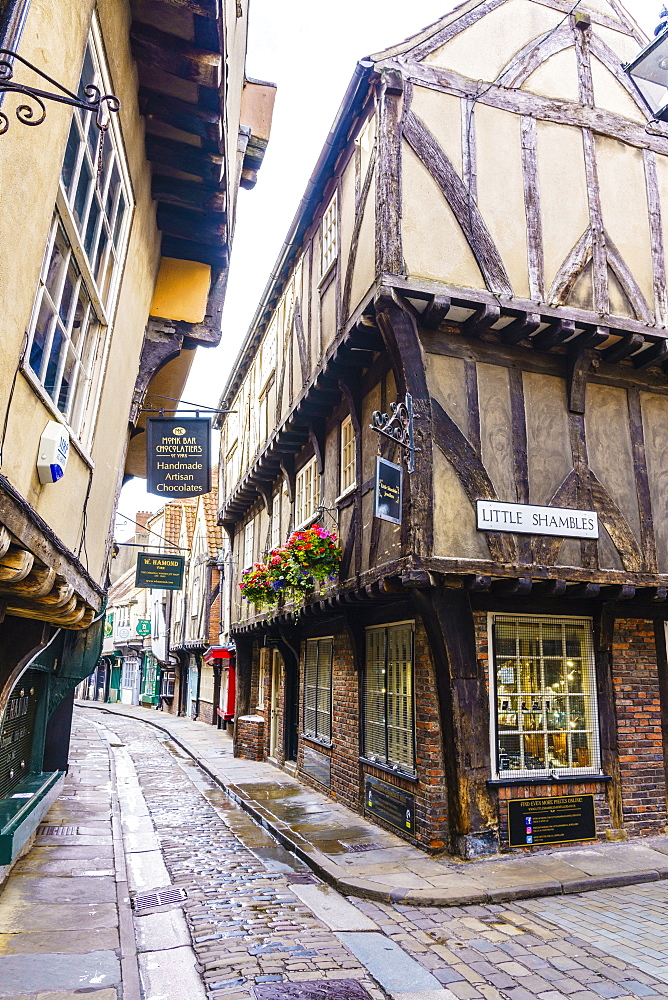 The Shambles, a preserved medieval street in York, North Yorkshire, England, United Kingdom, Europe