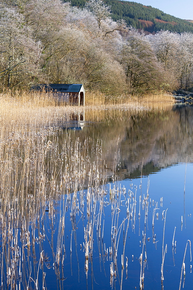 Loch Ard partially frozen over and a hoar frost around Aberfoyle in the Loch Lomond and the Trossachs National Park in mid-winter, Stirling District, Scotland, United Kingdom, Europe