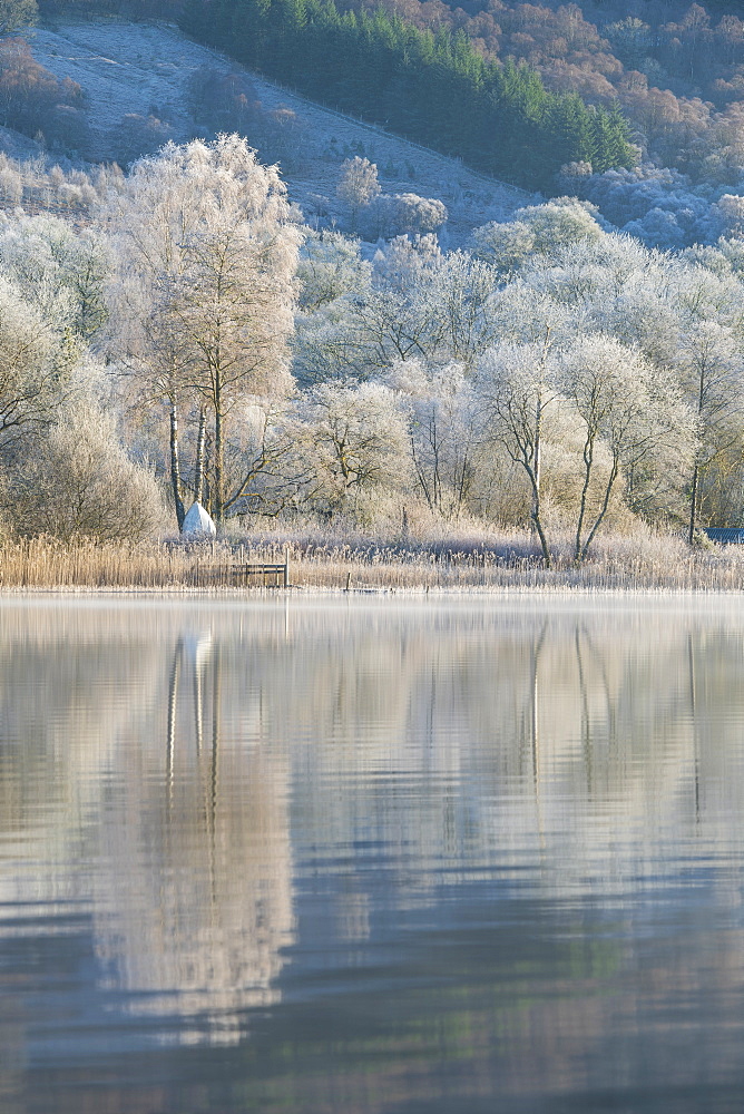 Loch Ard partially frozen over and a hoar frost around Aberfoyle in the Loch Lomond and the Trossachs National Park in mid-winter, Stirling District, Scotland, United Kingdom, Europe