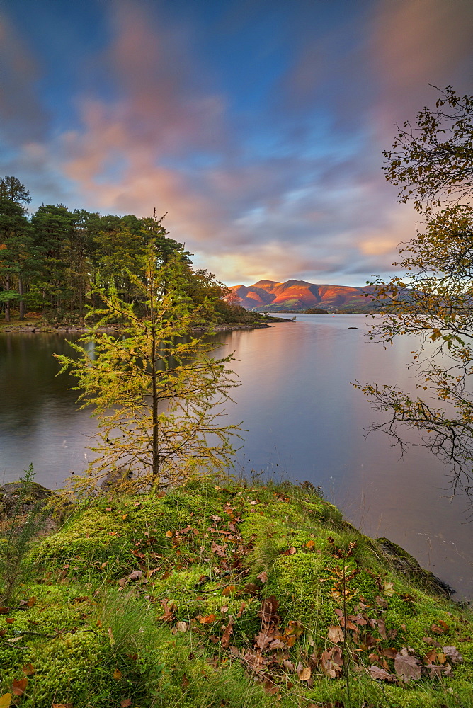 Autumn twilight over distant Lakeland Fell, Skiddaw and Derwent Water from Brandlehow Wood, Borrowdale, Lake District National Park, UNESCO World Heritage Site, Cumbria, England, United Kingdom, Europe