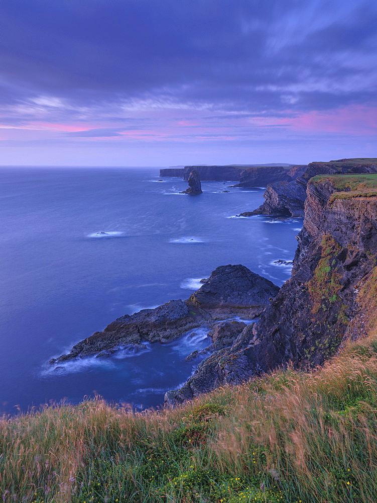 Loop Head, County Clare, Munster, Republic of Ireland, Europe