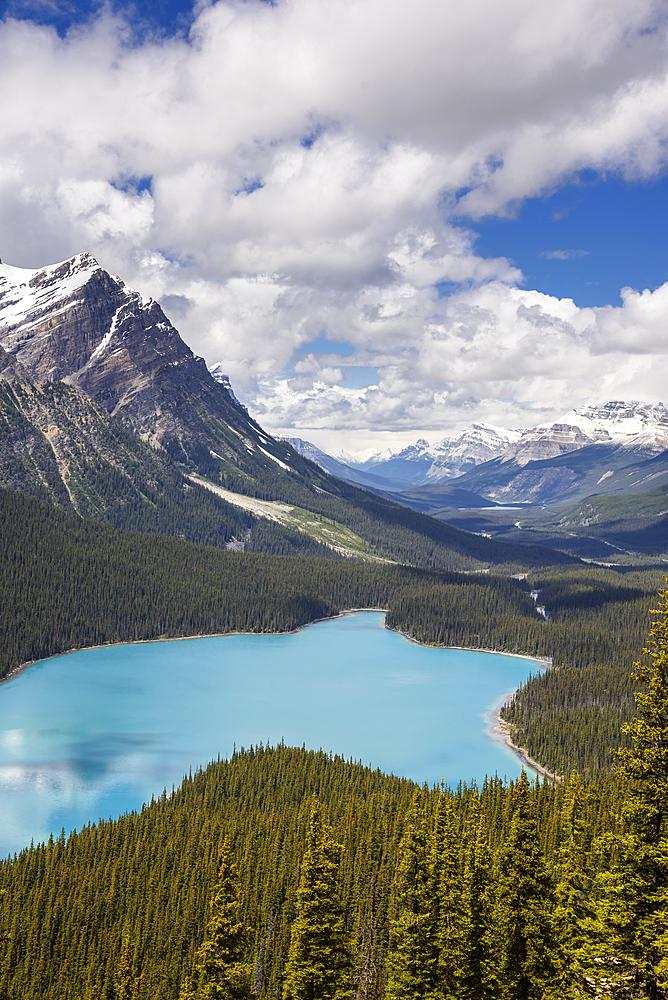 Peyto Lake, Banff National Park, UNESCO World Heritage Site, Alberta, Canada, North America