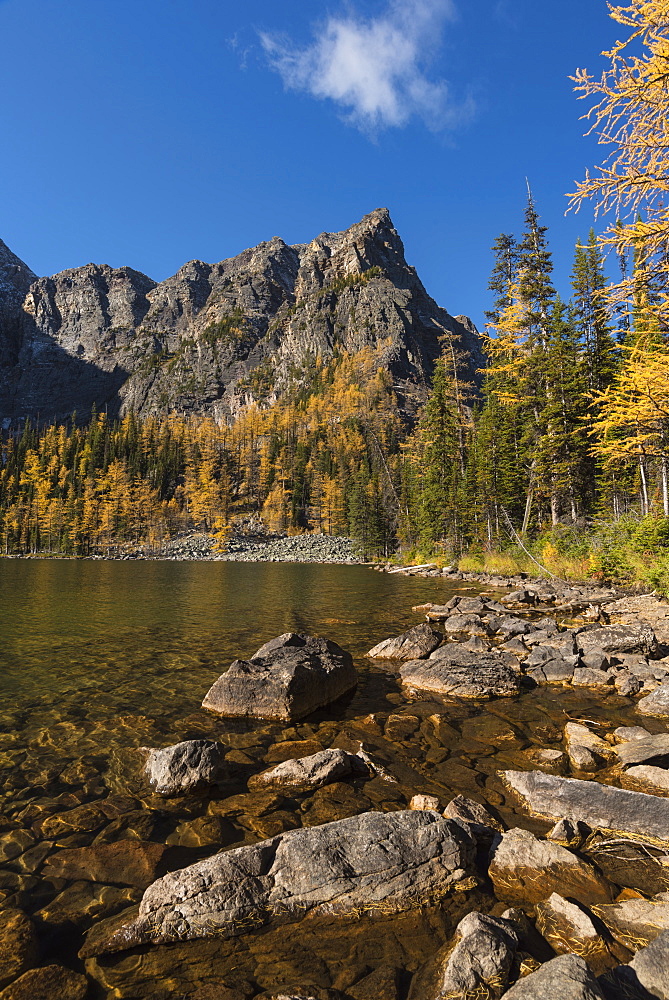 Arnica Lake in Autumn with Larch trees and Mountains, Banff National Park, UNESCO World Heritage Site, Alberta, Canadian Rockies, Canada, North America