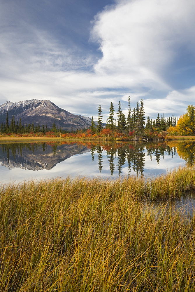 Autumn foliage and mountain lake, Icefields Parkway, Jasper National Park, UNESCO World Heritage Site, Canadian Rockies, Alberta, Canada, North America